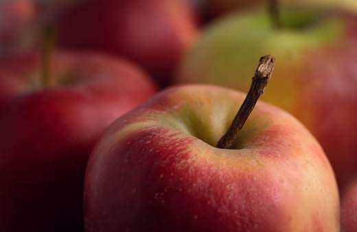 Gros plan dune pomme pour mettre laccent sur nos engagement qualité : produits locaux et bio, label Ecocert et fait maison
